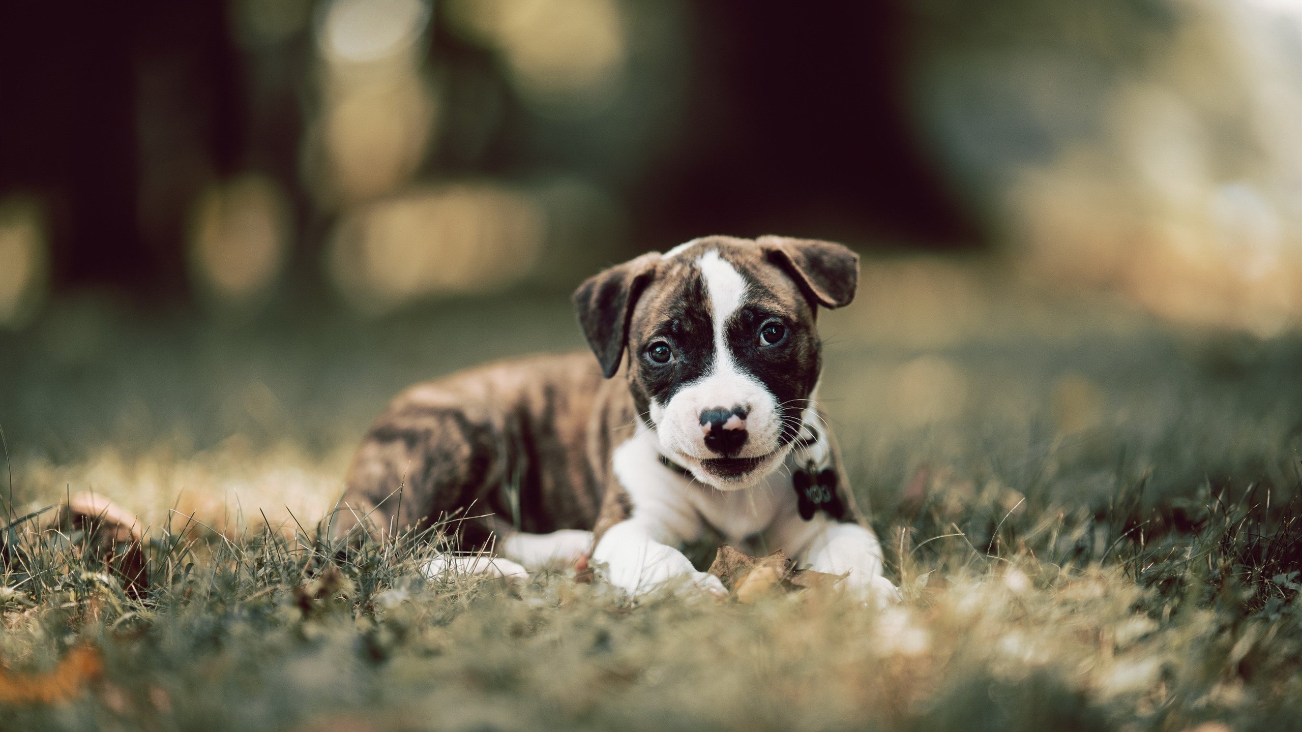 _灰色工业区:复古工业环境中的创意赛事_,灰色产业大全