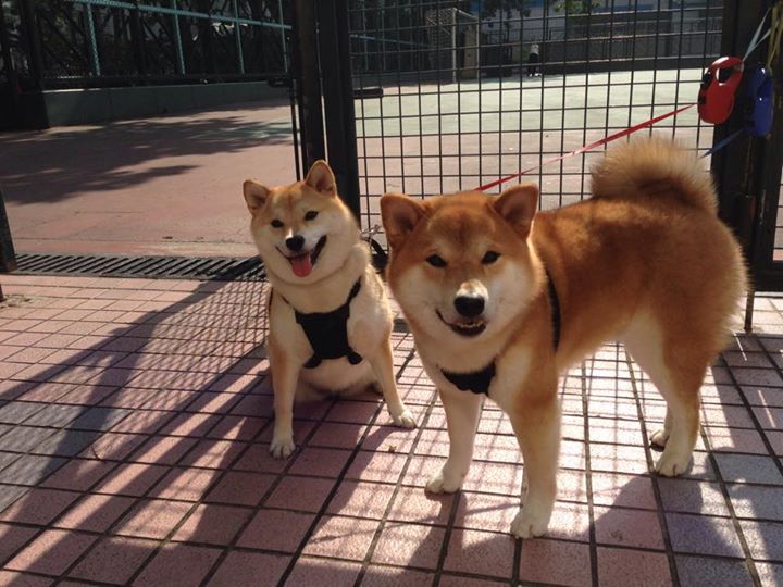 九游下载中心-【策略应用】高手如何利用规则漏洞打出临场奇兵？