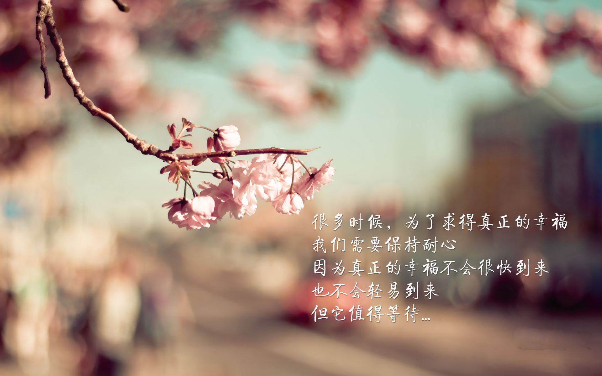 圣克拉拉俱乐部历史性地晋级欧洲协会联赛,创造佳绩。,圣克拉拉在哪里