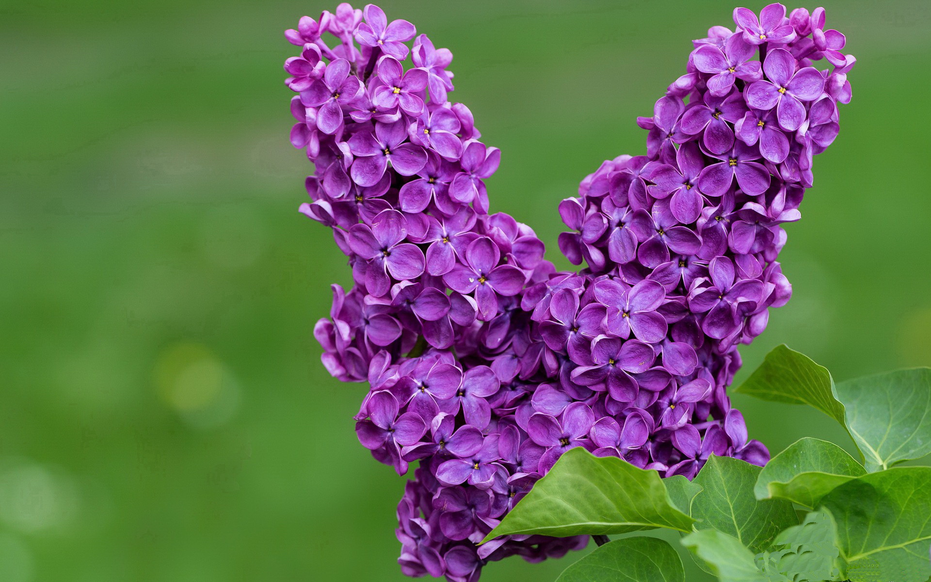 王者荣耀“超级联赛”全国总决赛火爆落幕,王者荣耀联赛2021