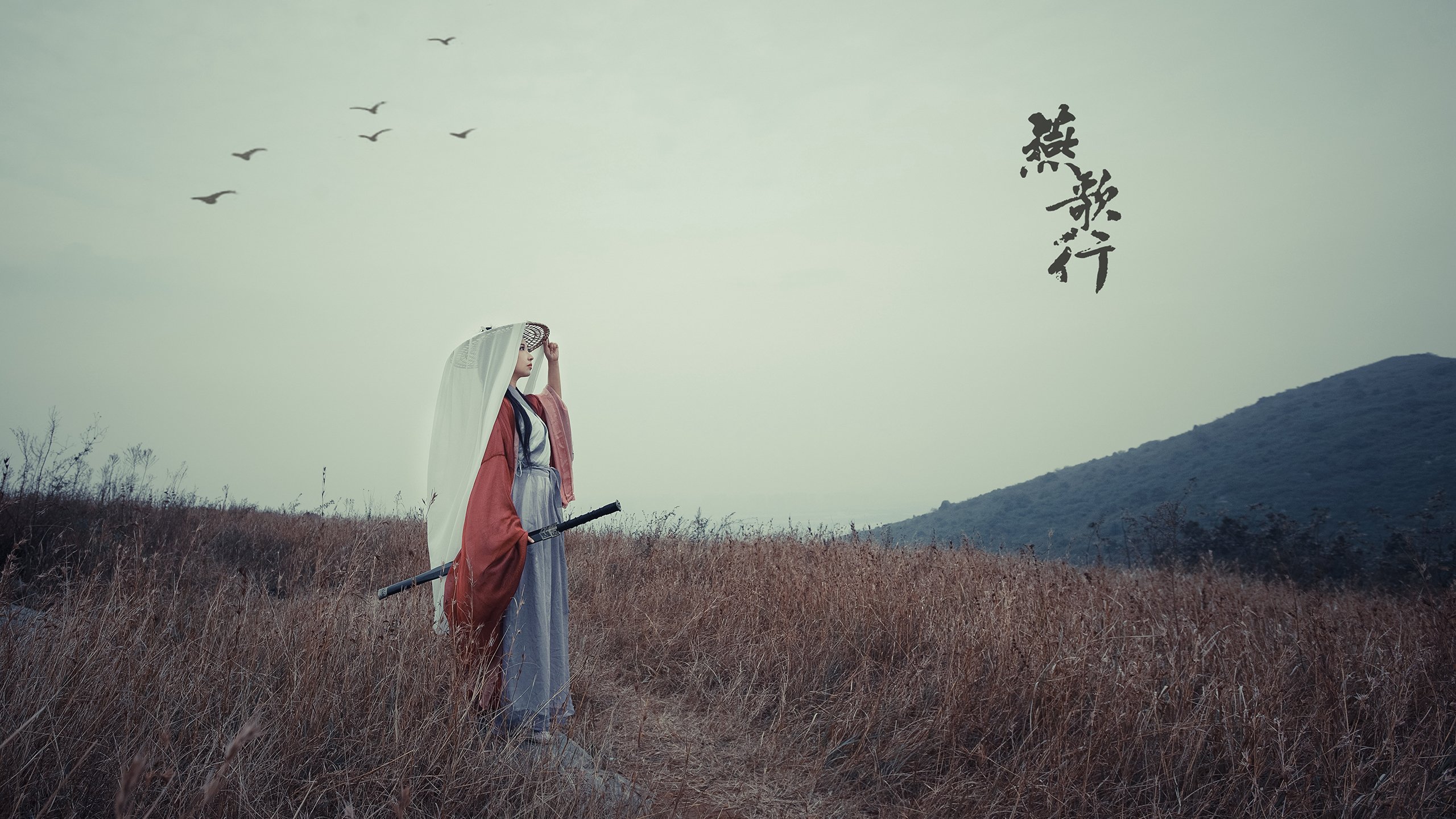 赛季总结：哪些球队最具变革潜力？，哪支球队