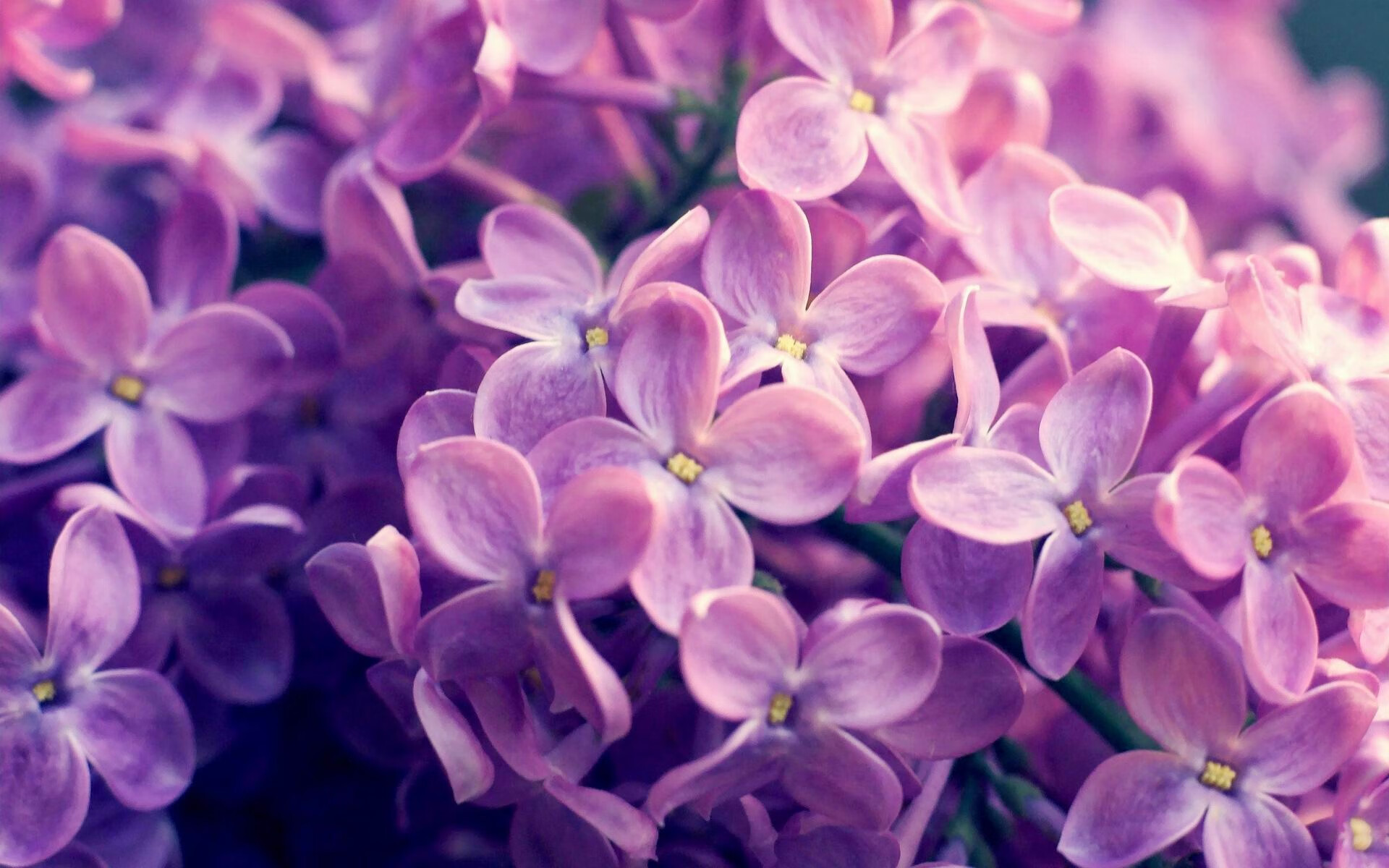 中国足球能否重建技战术自信体系,中国足球发展改革方案