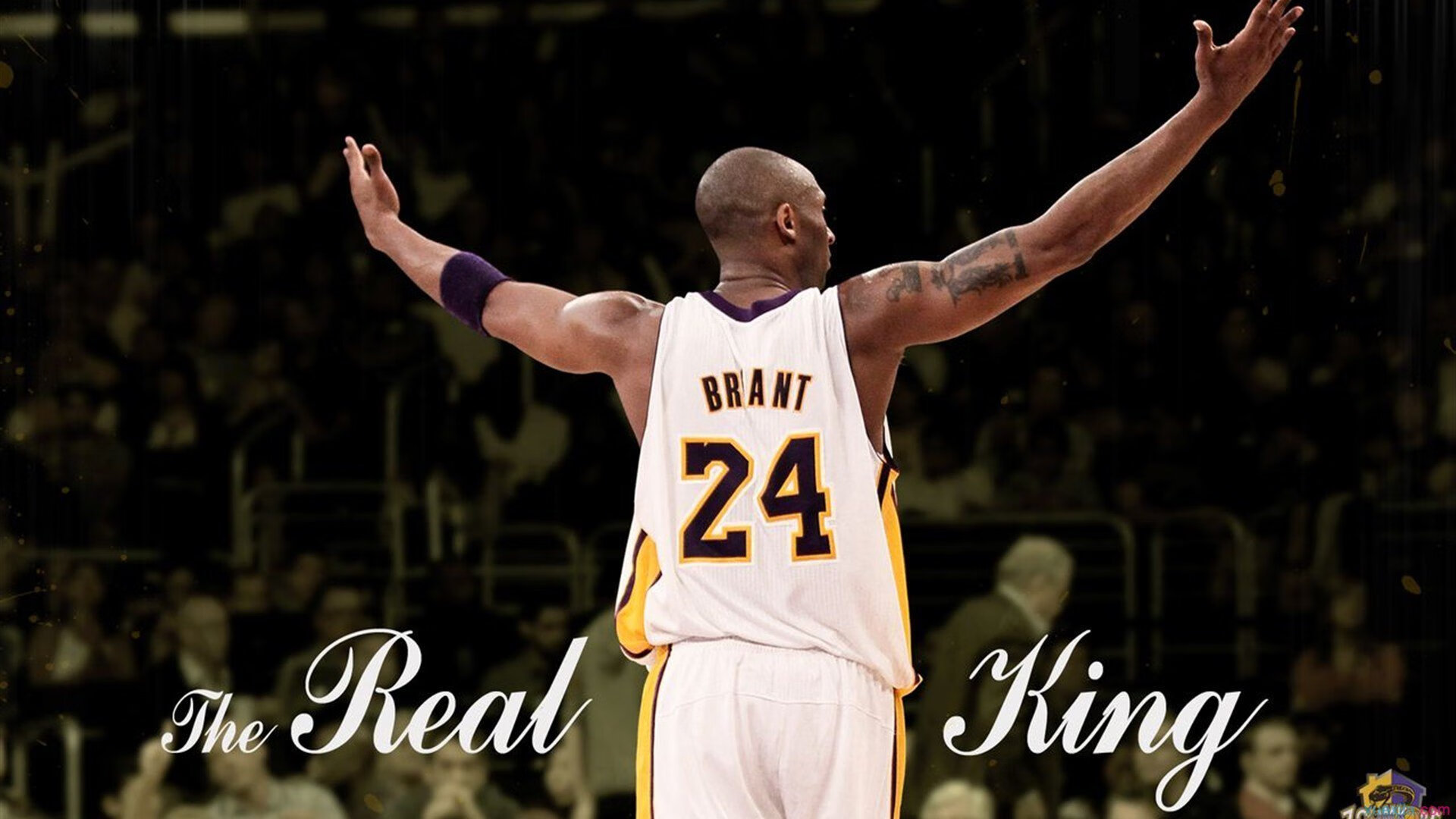 凯撒酋长青训营培养新星,未来可期,凯撒 csm