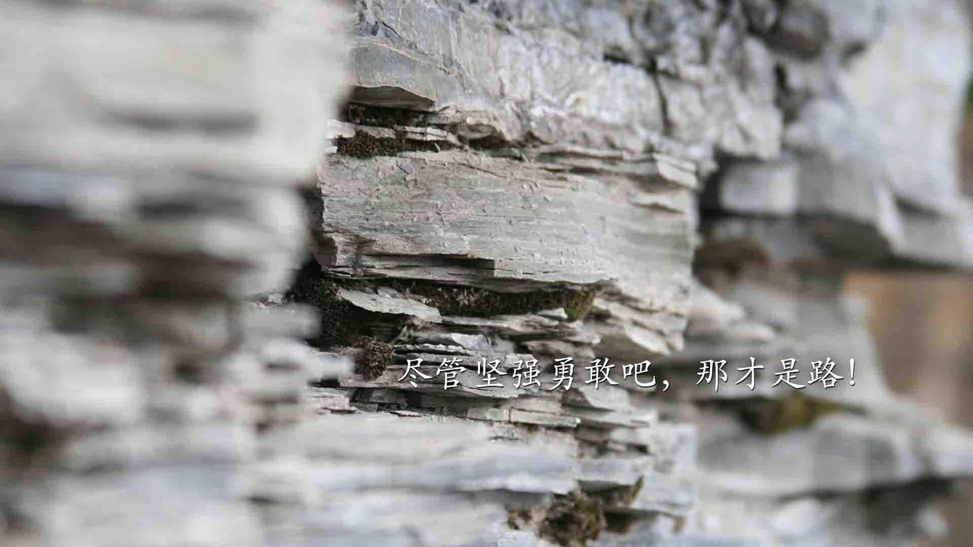 九游官网pc-切尔西主场大胜狼队，结束五轮不胜，切尔西vs狼队比赛预测推荐