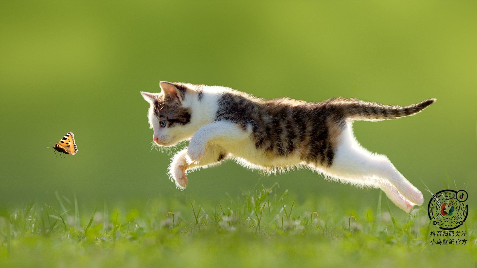 世界青年击剑赛中国队夺得多枚金银牌,全国青年击剑锦标赛冠军