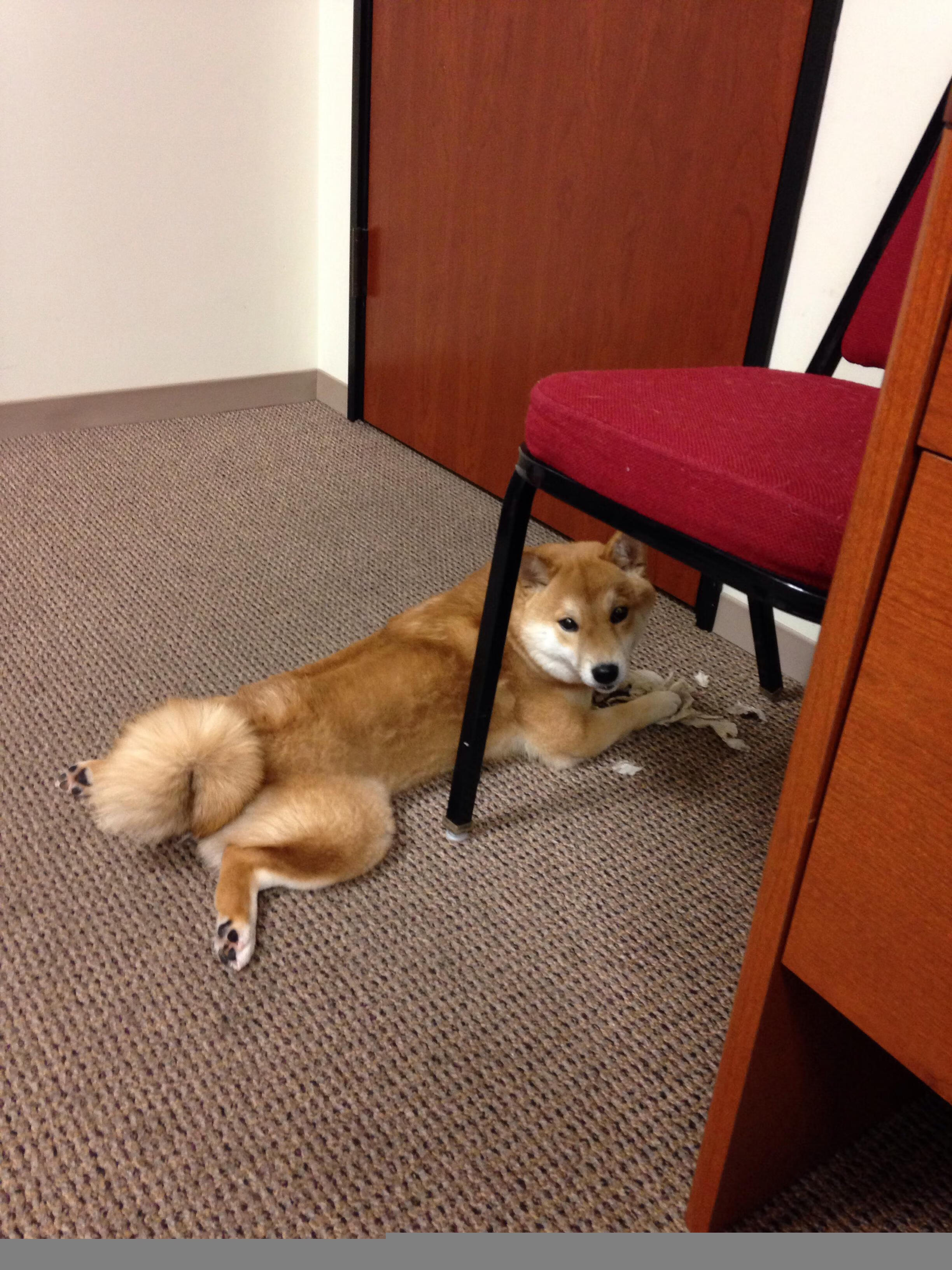 五大联赛边锋传中精准度提升对射手影响几何,传中最好的边锋