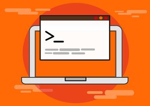 九游网页版官网入口-青少年比赛引入技术监测系统保障公平，2020年青少年比赛