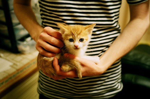 史密斯200米仰泳突破自我极限,史密斯弯举