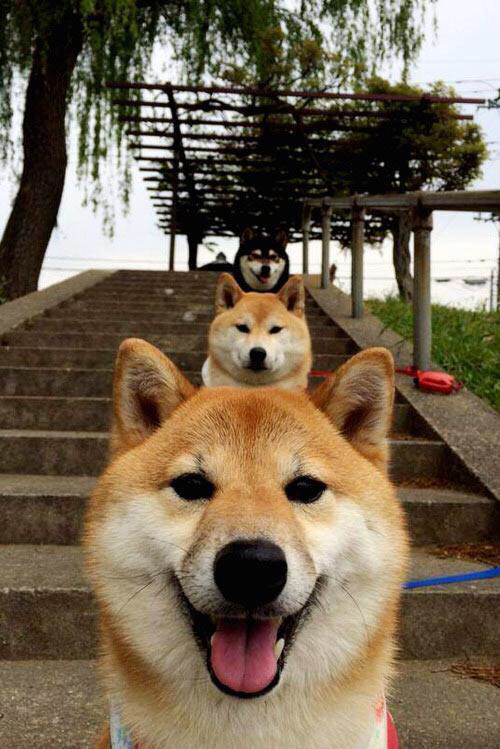 九游登录入口-各大洲积极布局女子足球，未来发展潜力巨大，女子足球发展现状