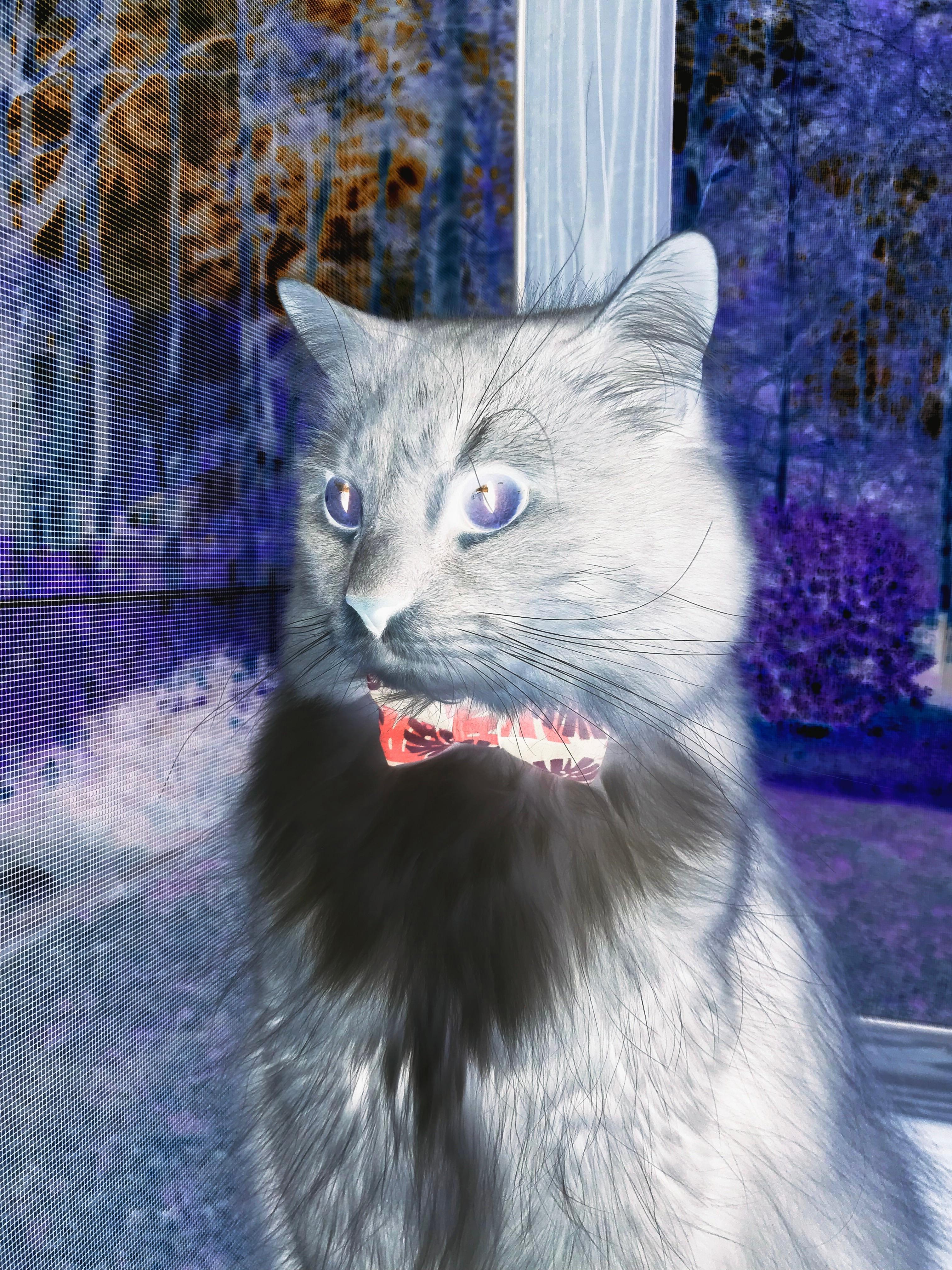 九游网页版官网入口-塞维利亚状态火热，继续冲击欧洲比赛资格