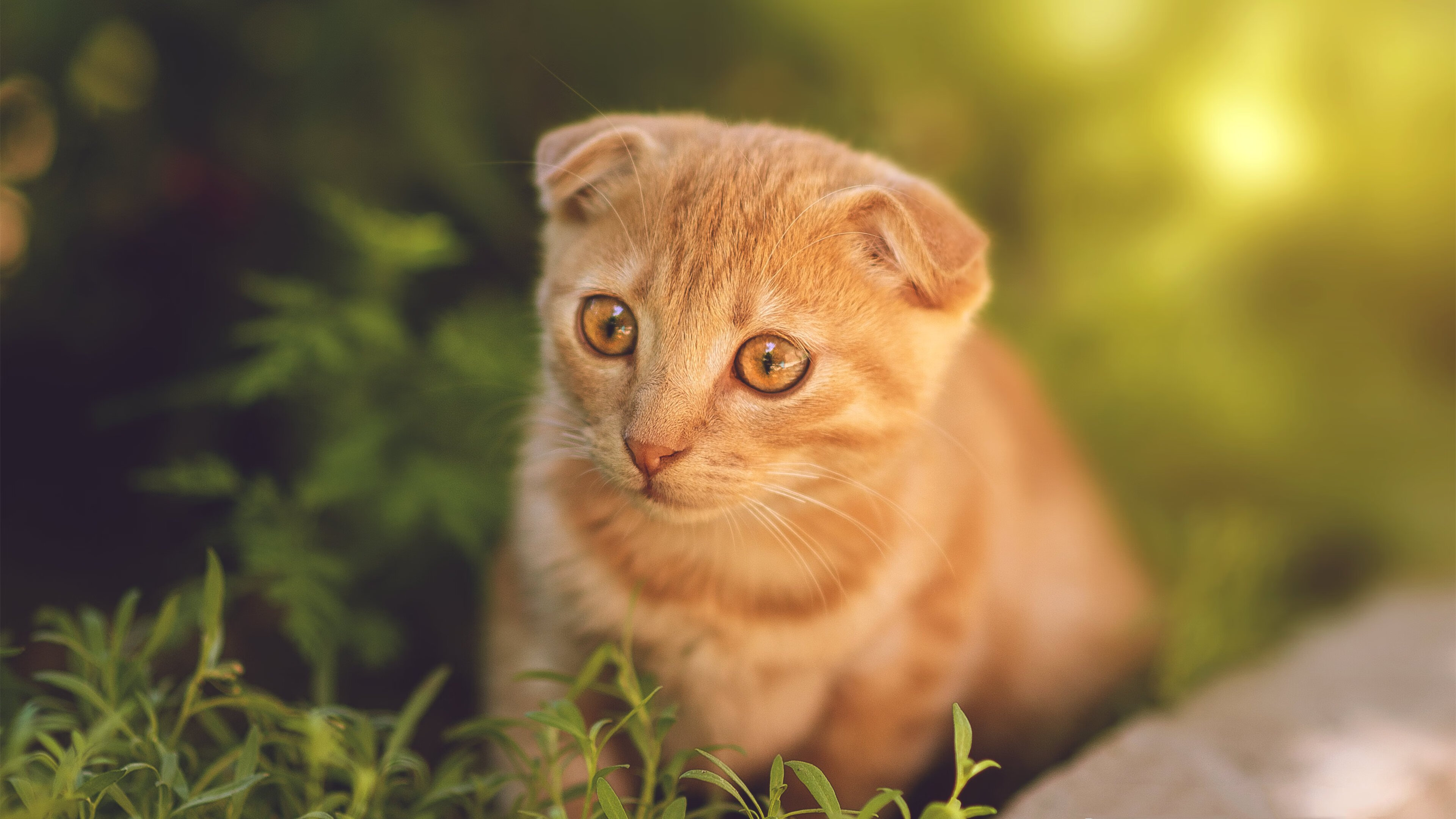 九游sports-字母哥篮板抢夺积极展现统治力，字母哥篮板能力