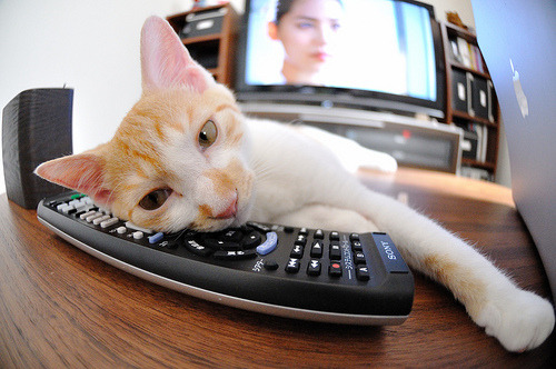 库里客串解说展现不一样的篮球智慧,库里篮球比赛解说